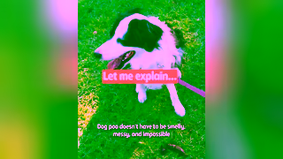 Lyka Pet Food Your dogs poo says a lot about their diet Ad Commercial Brand Imagery Photoshoot 0