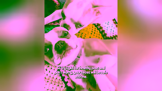 Lyka Pet Food Your dogs poo says a lot about their diet Ad Commercial Brand Imagery Photoshoot 2