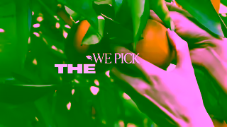 Tropicana Juice The Secret To Tropicanas Superior Taste Choosing The Best Oranges Ad Commercial Brand Imagery Photoshoot 1