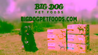 Big Dog Pet Foods Fresh Raw Real Food for Pets Ad Commercial Brand Imagery Photoshoot 2