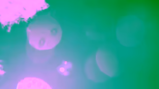 Ribena Ribena Theres no Taste Like Home 20 Ad Commercial Brand Imagery Photoshoot 0