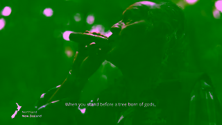 Tourism New Zealand If You Seek Perspective Ad Commercial Brand Imagery Photoshoot 0