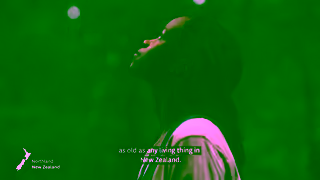 Tourism New Zealand If You Seek Perspective Ad Commercial Brand Imagery Photoshoot 1