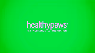 Healthy Paws Insurance Healthy Paws Pet Insurance Get Your Pets Protected Ad Commercial Brand Imagery Photoshoot 1
