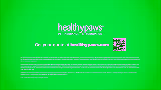 Healthy Paws Insurance Healthy Paws Pet Insurance Get Your Pets Protected Ad Commercial Brand Imagery Photoshoot 2