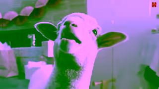 Huggies Huggies Snug Dry 15 New H Hug Unexpected softness Ad Commercial Brand Imagery Photoshoot 1