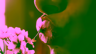 Burts Bees Burts Bees Boosted Balm As Nourishing As Ad Commercial Brand Imagery Photoshoot 2