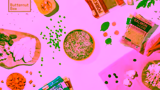 Butternut Box Summer Campaign20sTVC 2 Ad Commercial Brand Imagery Photoshoot 0