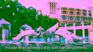 The LEELA Hotels Experience palatial grandeur as you stay for 3 nights and pay for only 2 The Leela Palace Udaipur Ad Commercial Brand Imagery Photoshoot 0