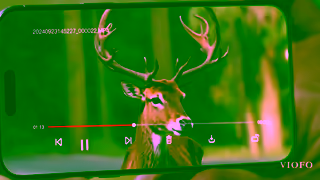 VIOFO VIOFO 4K A329 Dashcam support SSD Storage viofo dashcamvideos dashcams Ad Commercial Brand Imagery Photoshoot 2