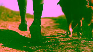 Purina Video Ad Ad Commercial Brand Imagery Photoshoot 1