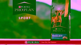 Purina Video Ad Ad Commercial Brand Imagery Photoshoot 2