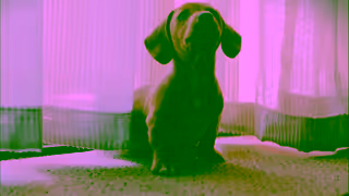 GapOnly Lucky or Not Ad Commercial Brand Imagery Photoshoot 0