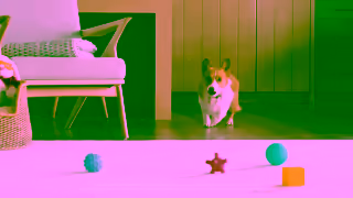 Shark Meet Shark Stratos Cordless Ad Commercial Brand Imagery Photoshoot 2