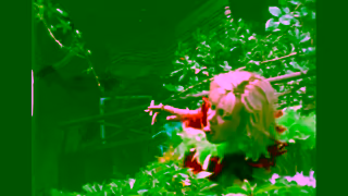 Magnolia Pictures Catching Fire The Story of Anita Pallenberg Clip Narrated by Scarlett Johansson Now Plaing Ad Commercial Brand Imagery Photoshoot 2