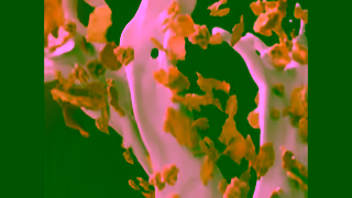 Kellogg's Pour la gloire du hockey Ad Commercial Brand Imagery Photoshoot 2