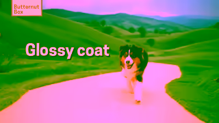 Butternut Box Summer Campaign20sTVC 1 Ad Commercial Brand Imagery Photoshoot 0