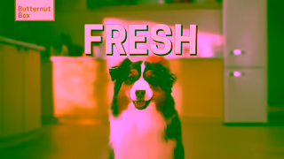 Butternut Box Summer Campaign20sTVC 1 Ad Commercial Brand Imagery Photoshoot 1