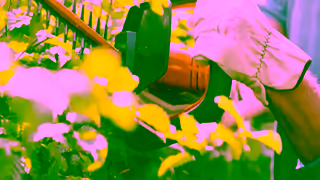 STIHL STIHL HSA 45 battery hedge trimmer Ad Commercial Brand Imagery Photoshoot 1