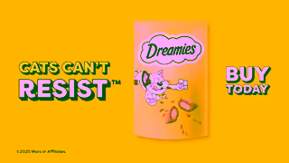 Dreamies Treats Dreamies Cats Will Do Anything Beauty Ad Commercial Brand Imagery Photoshoot 2