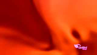 GloBird Energy GloBird Fight The Cold War Ad Commercial Brand Imagery Photoshoot 0