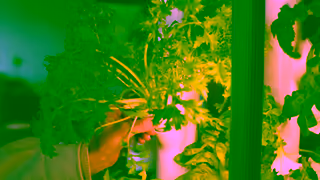 Gardyn WorryFree Gardening Ad Commercial Brand Imagery Photoshoot 0