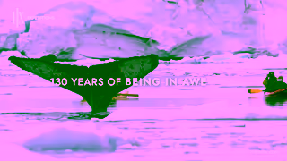 HX Expeditions 130th Anniversary Antarctica 15sec 16x9 Ad Commercial Brand Imagery Photoshoot 0
