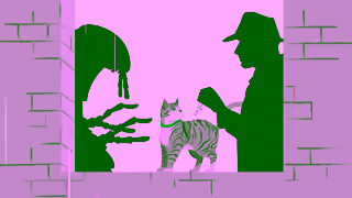 Elanco When Fleas Go Missing All Evidence Points to Advantage II Ad Commercial Brand Imagery Photoshoot 1