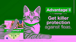 Elanco When Fleas Go Missing All Evidence Points to Advantage II Ad Commercial Brand Imagery Photoshoot 2