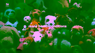 Hill's Many symptoms hide in plain sight Ad Commercial Brand Imagery Photoshoot 0