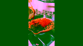 Beyond Meat Chris Spencers 30Day Beyond Meat Challenge Ad Commercial Brand Imagery Photoshoot 1