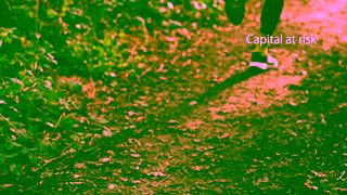 PensionBee UK Customer Rotimi 169 20s brand app campaigns Ad Commercial Brand Imagery Photoshoot 1