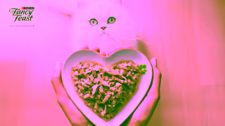 Purina Show Your Love with FANCY FEAST Ad Commercial Brand Imagery Photoshoot 0