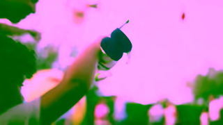 Disney Parks Nows the time Ad Commercial Brand Imagery Photoshoot 0