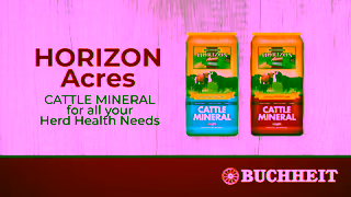 BUCHHEIT Horizon Acres Cattle Mineral at Buchheit Stores Ad Commercial Brand Imagery Photoshoot 0
