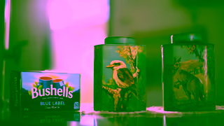 Bushells Tea Bushells TVC15s Ad Commercial Brand Imagery Photoshoot 0