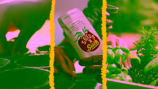 Seeds 'n Such Seeds n Such Sow Amazing Ad Commercial Brand Imagery Photoshoot 1