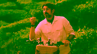 GOLD PEAK Tea Gold Peak Tea I Smell the Tea Leaves 15 Ad Commercial Brand Imagery Photoshoot 1