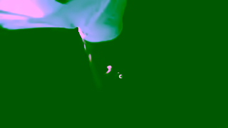 Meta RayBan Meta Smart Glasses Ad Commercial Brand Imagery Photoshoot 0