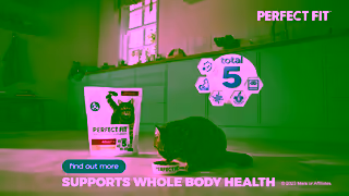 PERFECT FIT PERFECT FIT Supports Whole Body Health Ad Commercial Brand Imagery Photoshoot 2