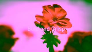 CREMO Grooming Cremo Mens Body Wash at Walmart Ad Commercial Brand Imagery Photoshoot 1