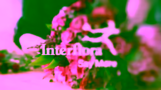 Interflora Interflora Say More Ad Commercial Brand Imagery Photoshoot 2