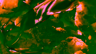 Hungry Jacks Hungry Jacks NEW Saucy Tenders Ad Commercial Brand Imagery Photoshoot 0