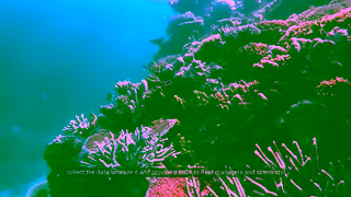 Dell Dell Technologies Reefs Ad Commercial Brand Imagery Photoshoot 1