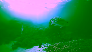 Dell Dell Technologies Reefs Ad Commercial Brand Imagery Photoshoot 2