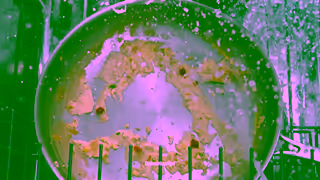 Cascade PGCS2152000H Cascade Dish Rebels 2 0 ENG CA Comp OLV 15 Ad Commercial Brand Imagery Photoshoot 1