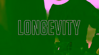 Carhartt Carhartt Durability Design 15 16x9 Ad Commercial Brand Imagery Photoshoot 2