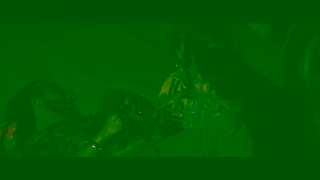 Netflix The Sounds of Emilia Prez Starring Karla Sofa Gascn Zoe Saldaa Selena Gomez Netflix Ad Commercial Brand Imagery Photoshoot 1