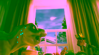 Pilgrim's Pilgrims Ultimate Nuggets Put It In A Nugget 2024 Ad Commercial Brand Imagery Photoshoot 1