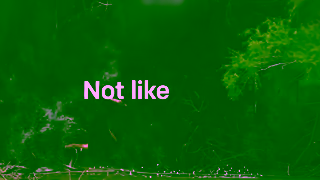 MiraLAX MIML5301000H 2025 MiraFAST MOA ENG OLV 10s Ad Commercial Brand Imagery Photoshoot 1